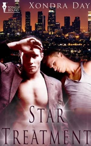 Cover of the book Star Treatment by Naomi Bellina