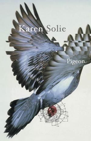 Cover of the book Pigeon by Marie-Claire Blais