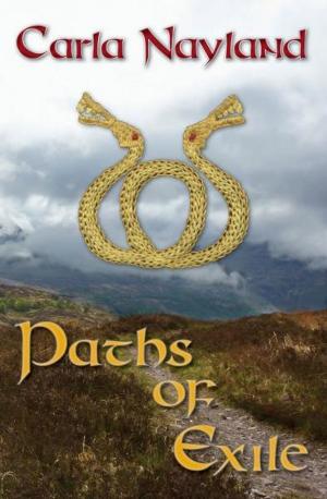 Cover of the book Paths of Exile by Clare Blanchard