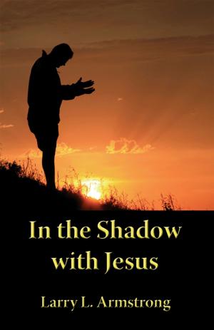 Cover of the book In the Shadow with Jesus: A Look at the High Priestly Prayer of John 17 by Gary Villamor