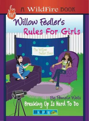 Cover of the book Willow Fedler's Rules For Girls by 彼得．勒朗吉斯(Peter Lerangis)