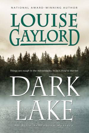 Cover of the book Dark Lake, An Allie Armington Mystery by Dawn Churchill
