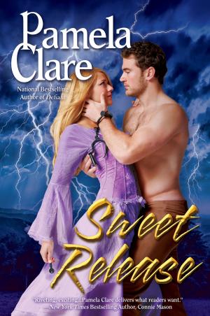 Book cover of Sweet Release