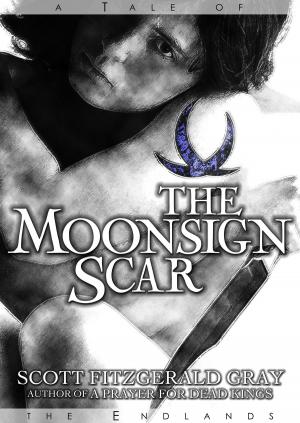 Cover of the book The Moonsign Scar by Chuck Bean