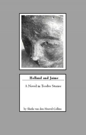 Book cover of Holland and Jaime