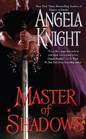 Cover of the book Master of Shadows by Sandra Lake
