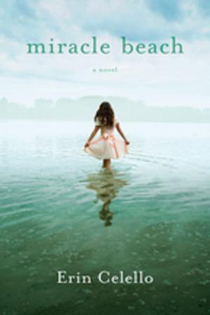 Cover of the book Miracle Beach by Jake Logan