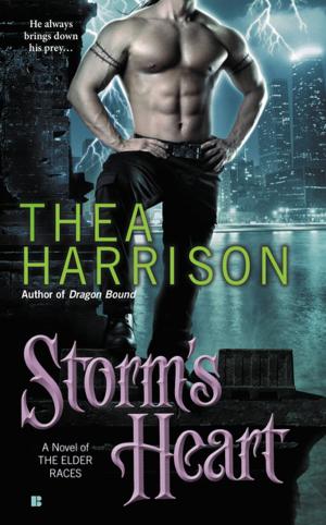 Cover of the book Storm's Heart by Donna Thorland