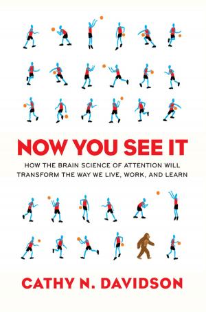 Cover of the book Now You See It by Amy Cramer, Lisa McComsey