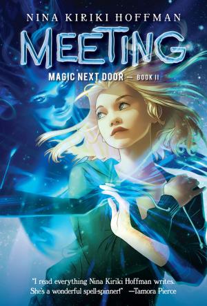 Cover of the book Meeting by David Arnold