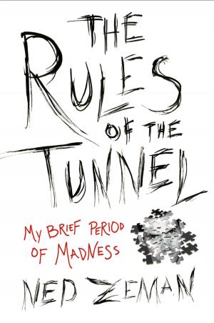 Cover of the book The Rules of the Tunnel by Katherine Mayfield