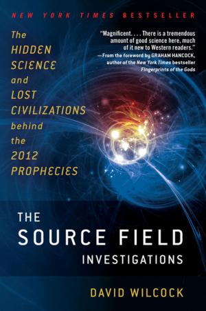 Cover of the book The Source Field Investigations by Glen Cook