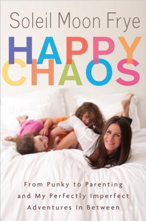 Cover of the book Happy Chaos by Rick Schmidt