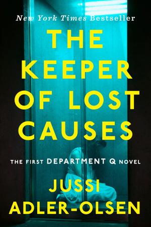 bigCover of the book The Keeper of Lost Causes by 