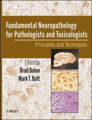 Cover of the book Fundamental Neuropathology for Pathologists and Toxicologists by Geoffrey R. Marczyk, David DeMatteo, David Festinger