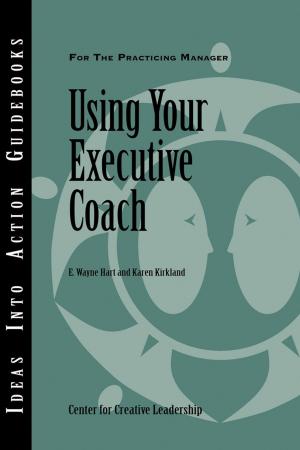 Cover of the book Using Your Executive Coach by Laszlo Birinyi