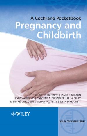 Cover of the book Pregnancy and Childbirth by Smaïl Aït-El-Hadjait