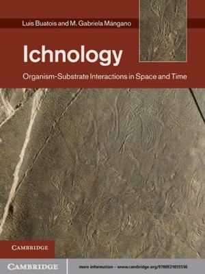 Cover of the book Ichnology by Stephen  Waddams