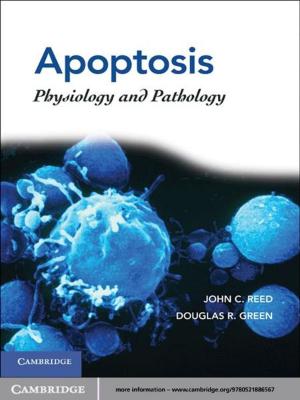 Cover of the book Apoptosis by Yong-Geun Oh