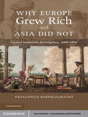 Cover of the book Why Europe Grew Rich and Asia Did Not by Péter Gnädig, Gyula Honyek, Máté Vigh, Ken F. Riley