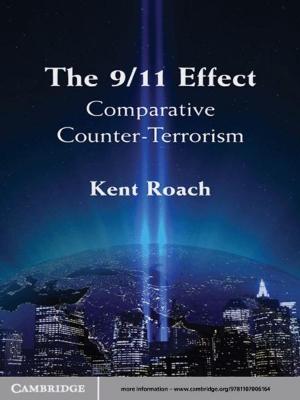 Cover of the book The 9/11 Effect by Dora Kostakopoulou