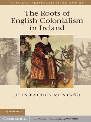 Book cover of The Roots of English Colonialism in Ireland