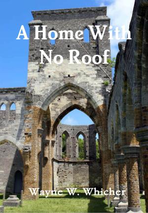 Cover of the book A Home With No Roof by Jane Holmes