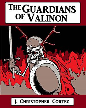 Cover of the book The Guardians of Valinon by Michael James Ploof