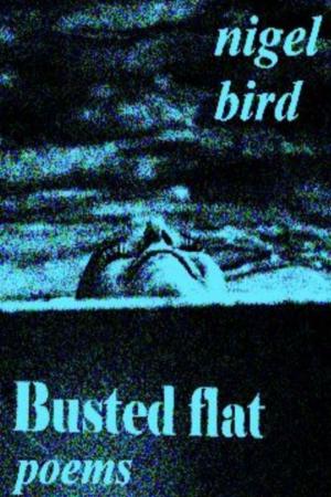 Book cover of Busted Flat