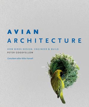 bigCover of the book Avian Architecture by 