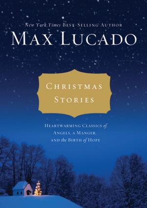 Cover of the book Christmas Stories by Mark Driscoll
