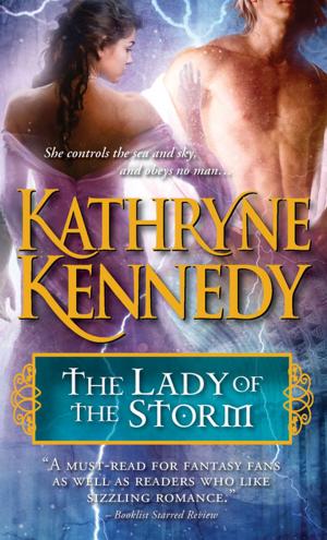 Cover of the book The Lady of the Storm by Tricia Zoeller