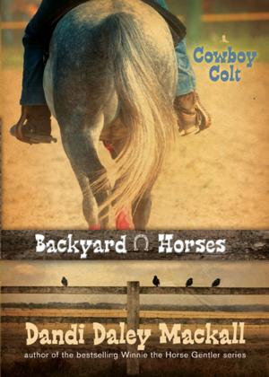 Cover of the book Cowboy Colt by Dandi Daley Mackall