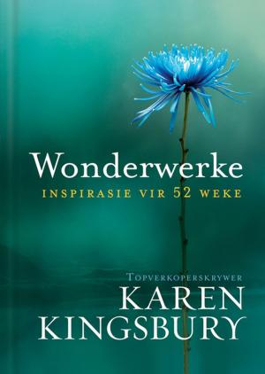 Cover of the book Wonderwerke by Elize Parker