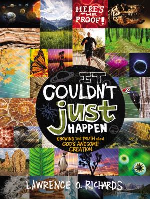 Cover of the book It Couldn't Just Happen by Sally John