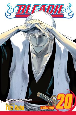 Cover of the book Bleach, Vol. 20 by Karuho Shiina