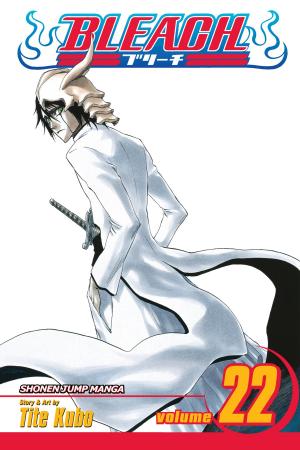 Cover of the book Bleach, Vol. 22 by Tomu Ohmi