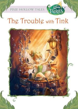 Book cover of Disney Fairies: The Trouble with Tink