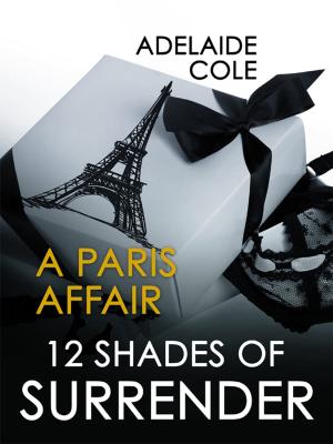 Cover of the book A Paris Affair by Grace D'Otare