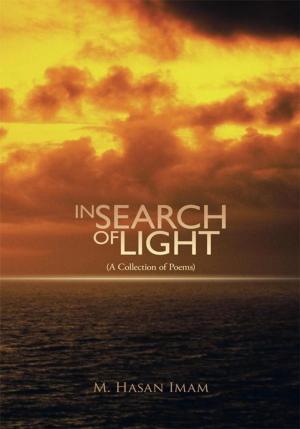 Cover of the book In Search of Light by Peter F. Serra