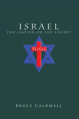 Book cover of Israel the Chosen or the Enemy?
