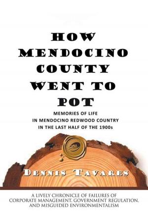 Cover of the book How Mendocino County Went to Pot by Nelson Word