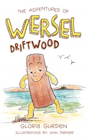 Cover of the book The Adventures of Wersel Driftwood by Lynn van Rooyen