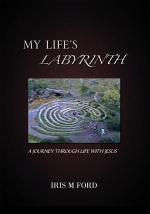 Cover of the book My Life's Labyrinth by Sam Harrison
