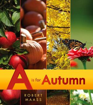 Cover of the book A Is for Autumn by Deborah Heiligman