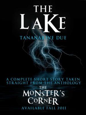Cover of the book The Lake by Yrsa Sigurdardottir