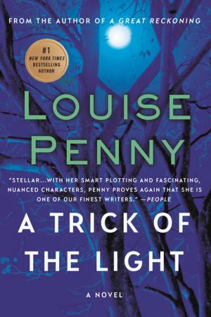 Book cover of A Trick of the Light