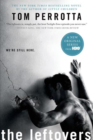 Cover of the book The Leftovers by John M. Adams