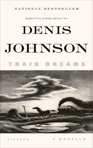 Cover of the book Train Dreams by Derek Walcott