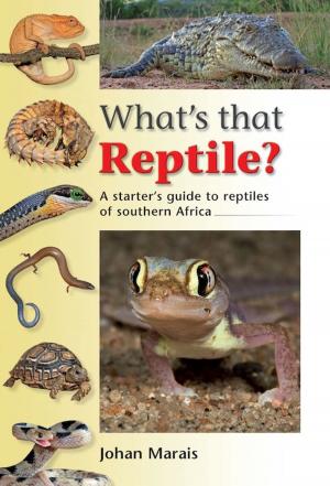 Book cover of What's that Reptile?